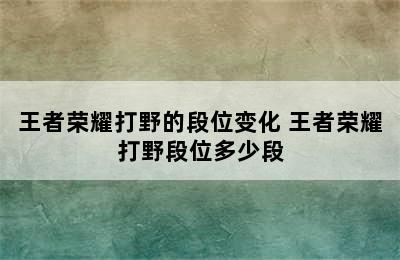 王者荣耀打野的段位变化 王者荣耀打野段位多少段